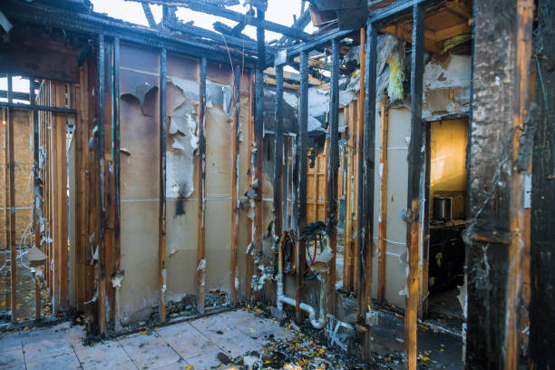 Professional Fire Damage Repair technician working in Royal City, WA